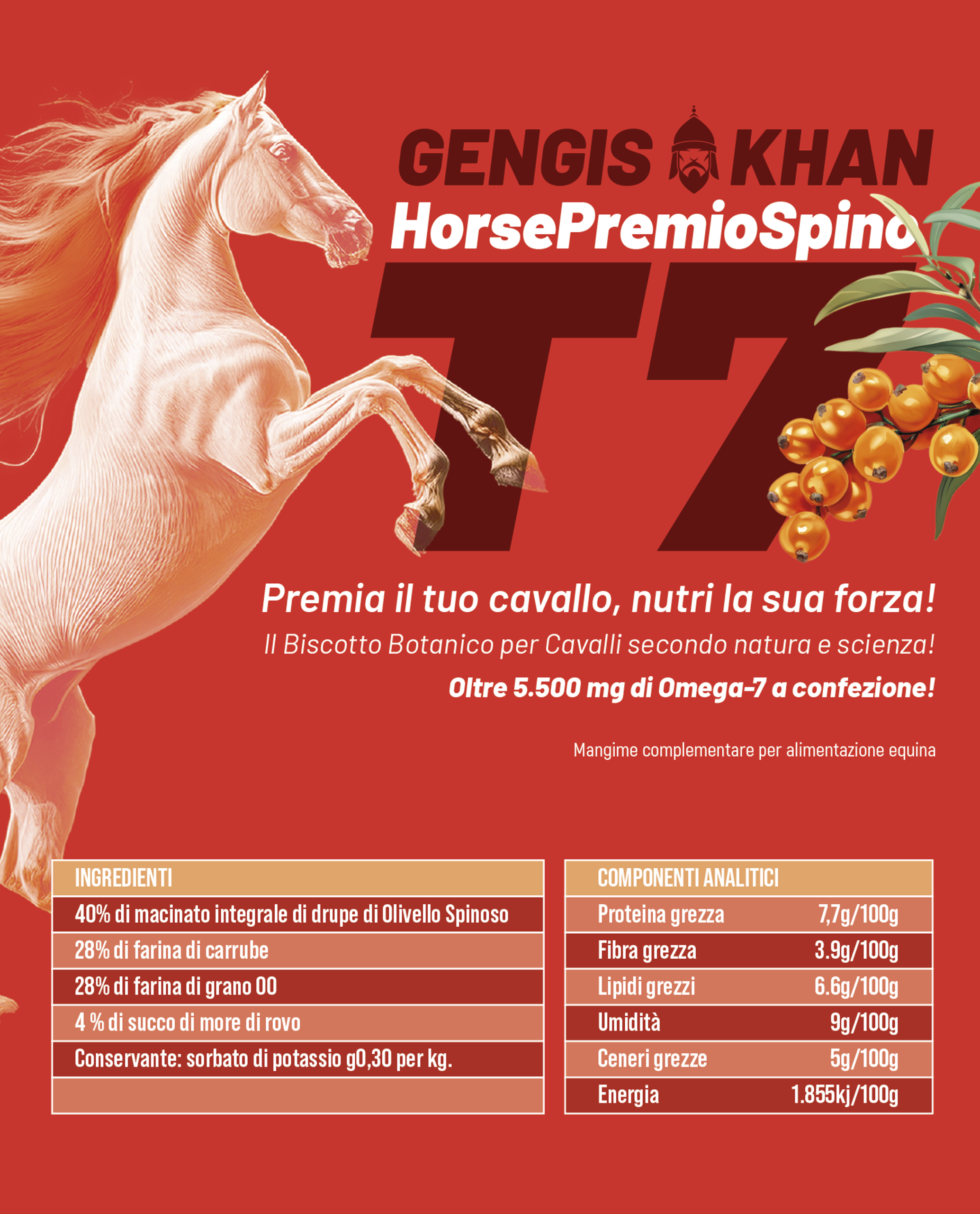 Horse Premio Spino T7