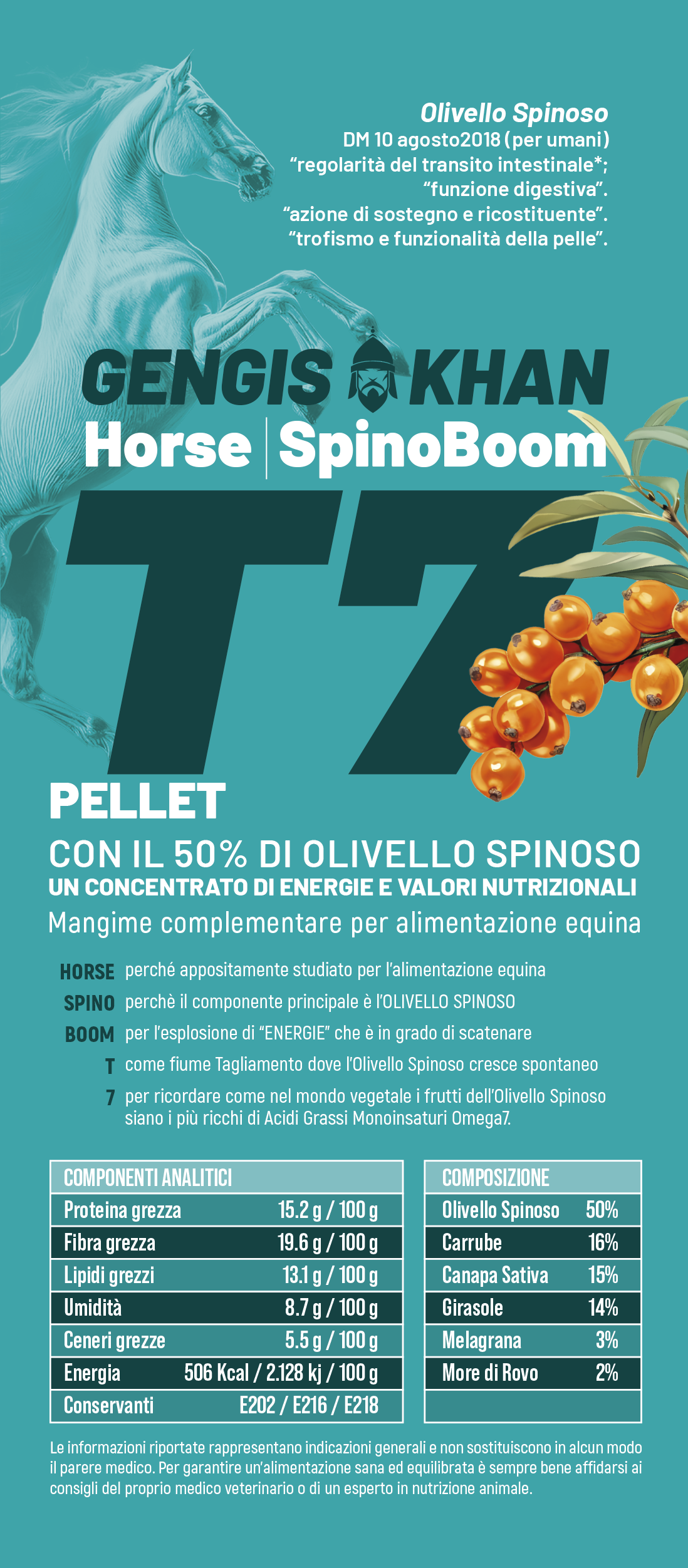 Horse Spino Boom T7